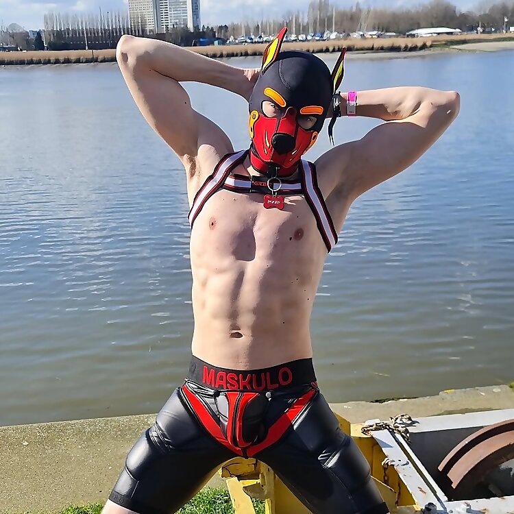Pup Roger