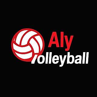 Aly Saydam