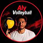 Aly Saydam