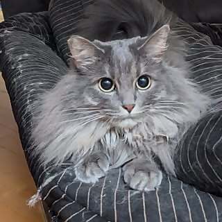 Lena