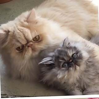 Ollie and Sofie