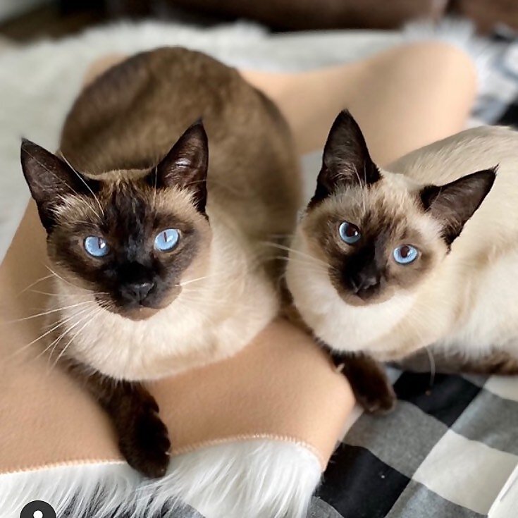 Ramby & Gracie