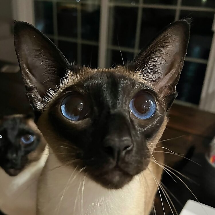 Korra & Bernie