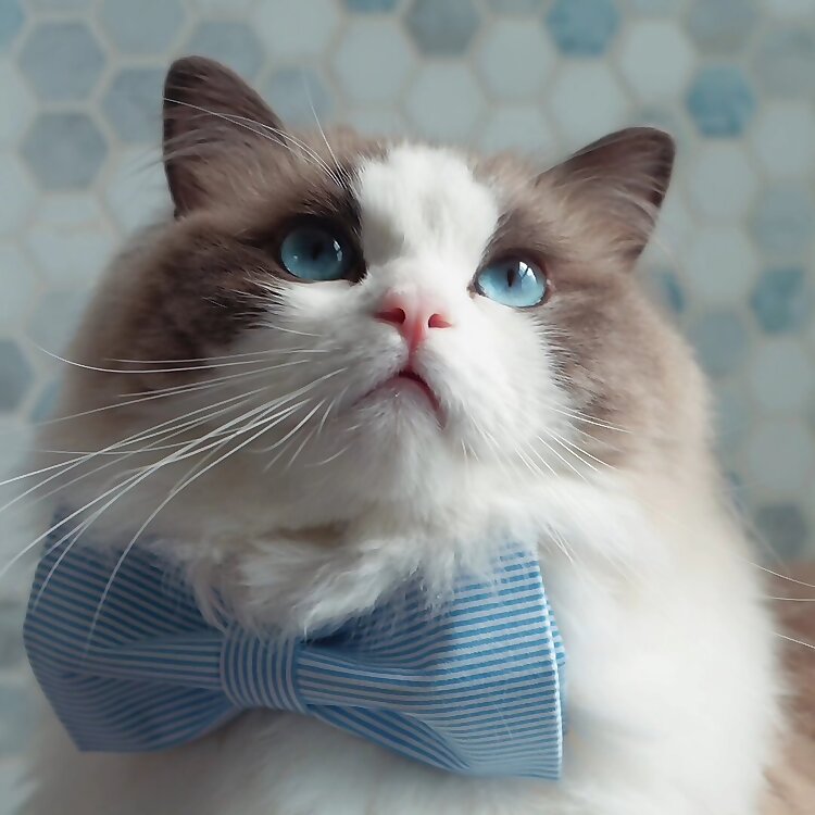 Walter