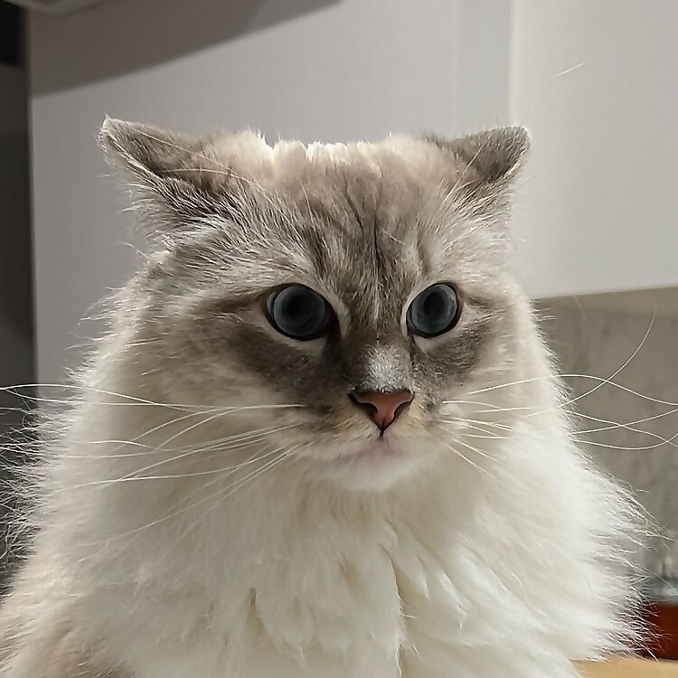 Melvin