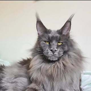 Ragnar 