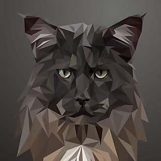 Loki