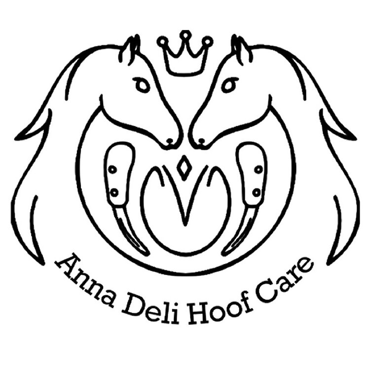 Anna Deli