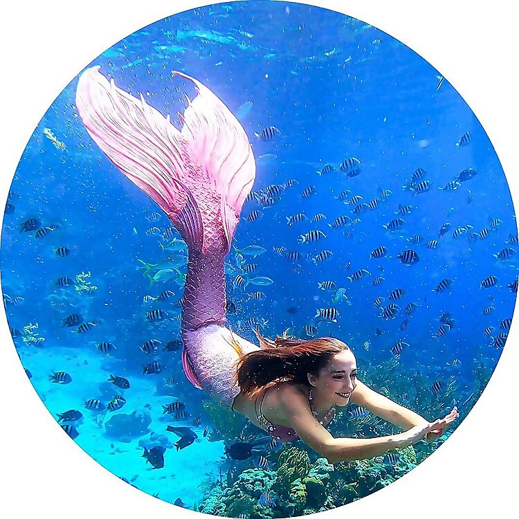 Mermaid Jules 