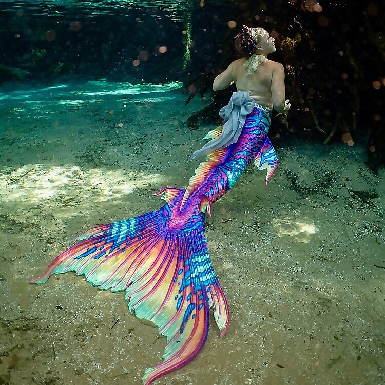 Mermaid Aerial Princess