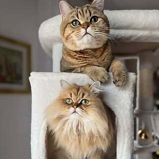 Frida & Leon
