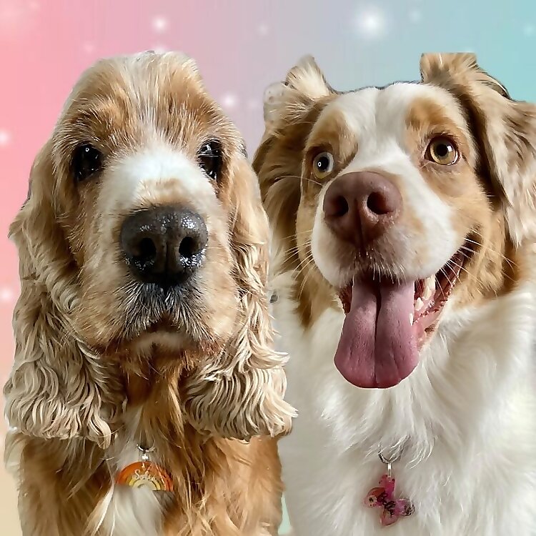 Bella & Sofia