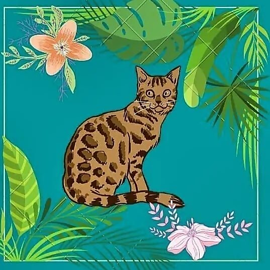 Bengal Olospu