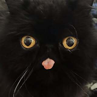 Sophie