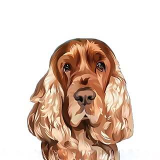 Mr Cocco