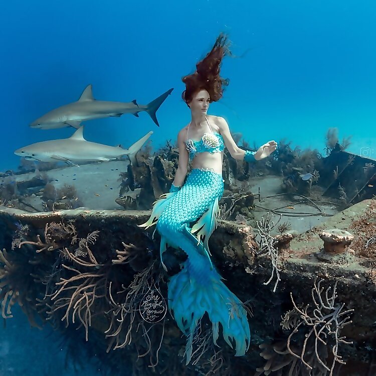 Mermaid Sarandipity