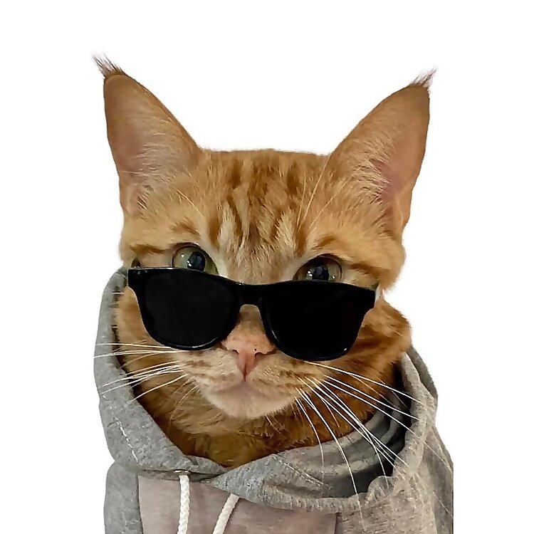 Tiger JoJo