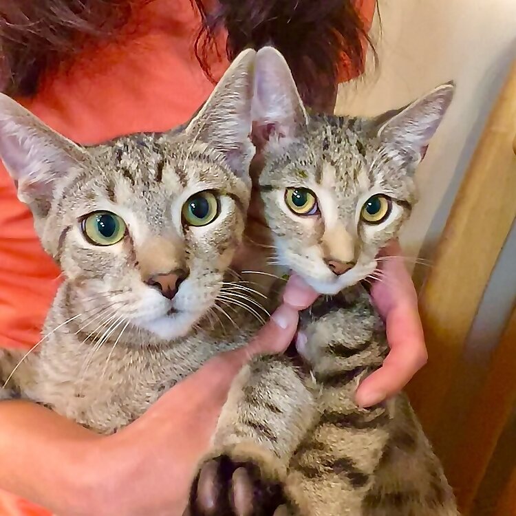 Meelo & Mina
