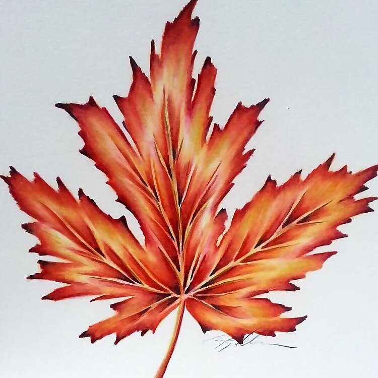 Poutine