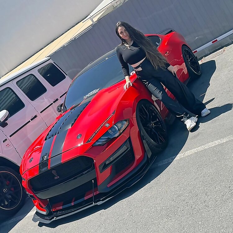 Mustang Gir