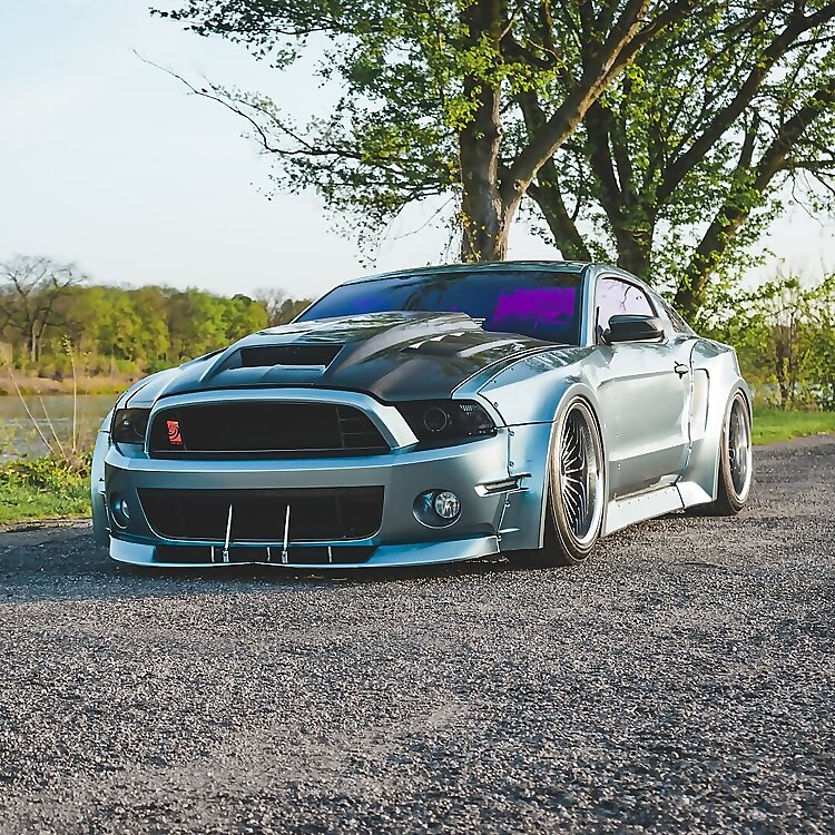 Cum Stang