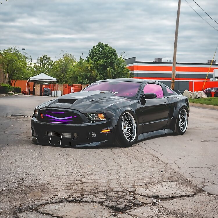 Cum Stang