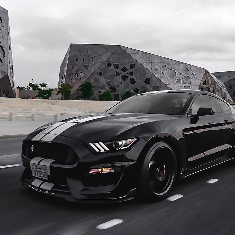 Stang Mentality