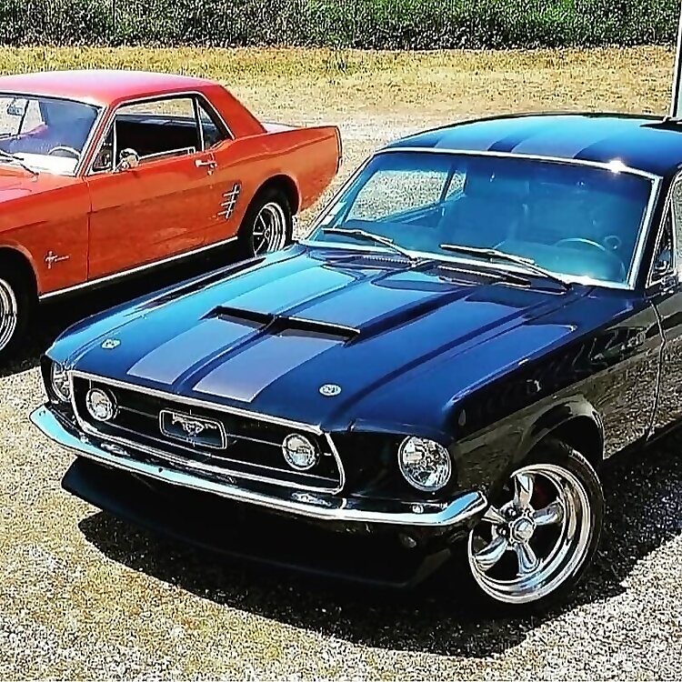 Stang Runer