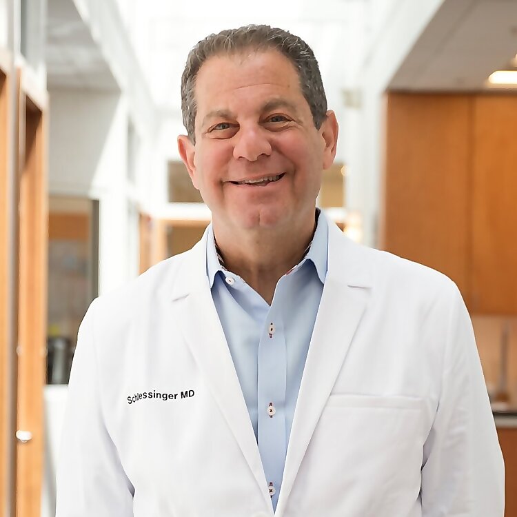 Joel Schlessinger
