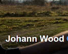 Johann Wood