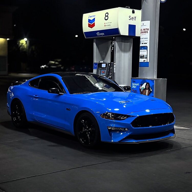Stallion