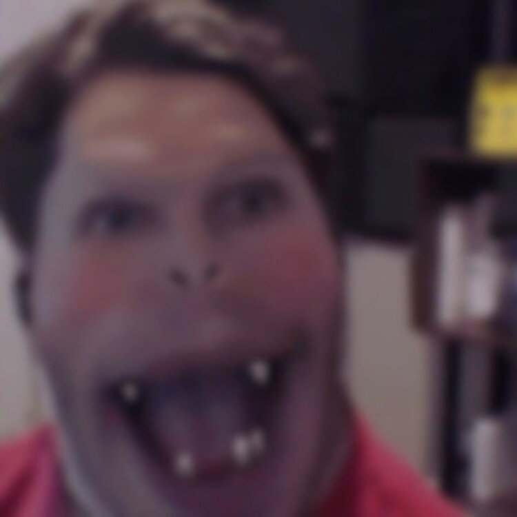 Lannertanner