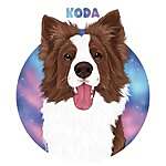 Koda