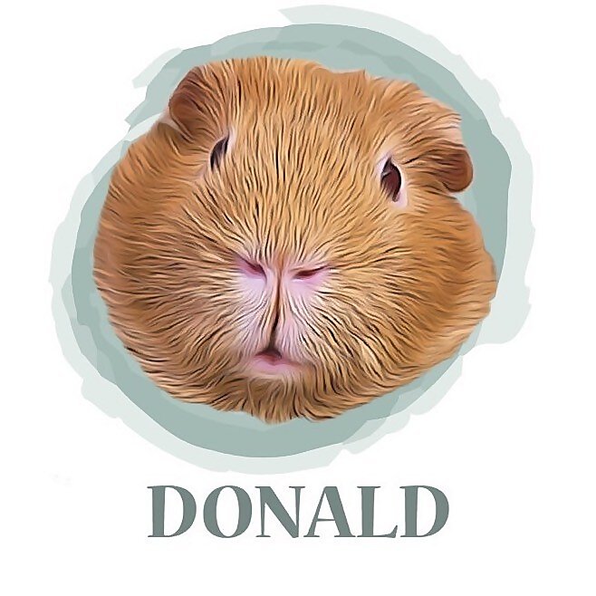 Donald Dodo