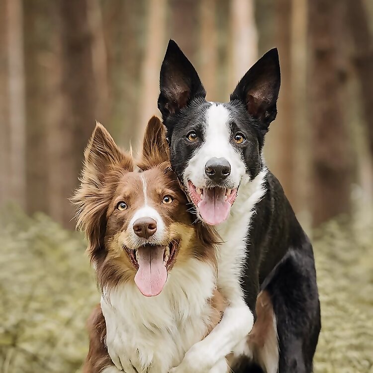 Loki & Winnie