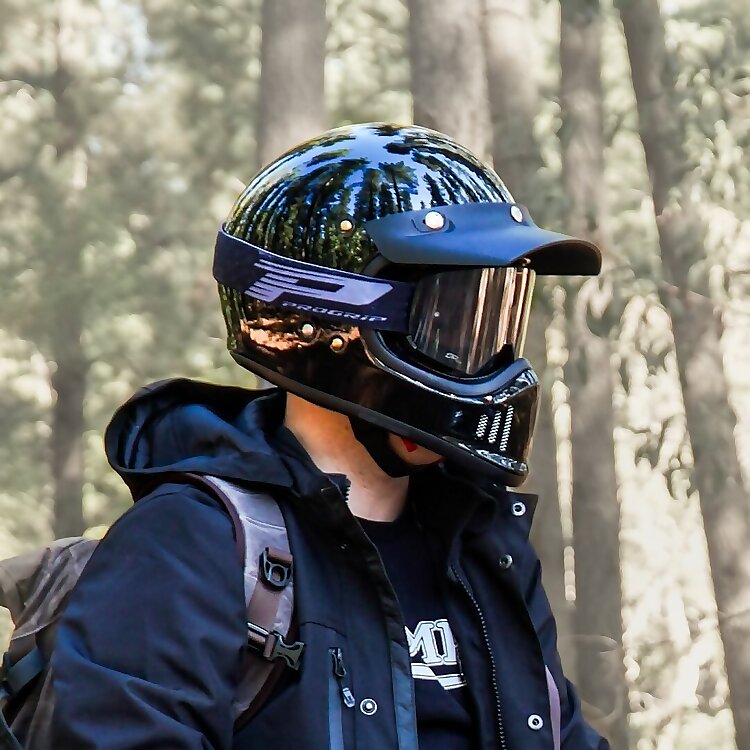 Moto Stray