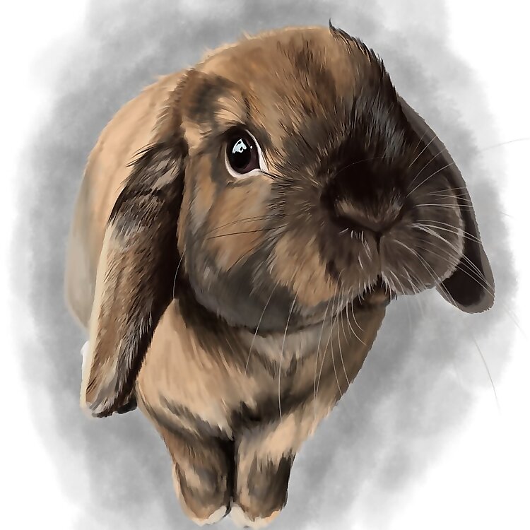 Cinnamon