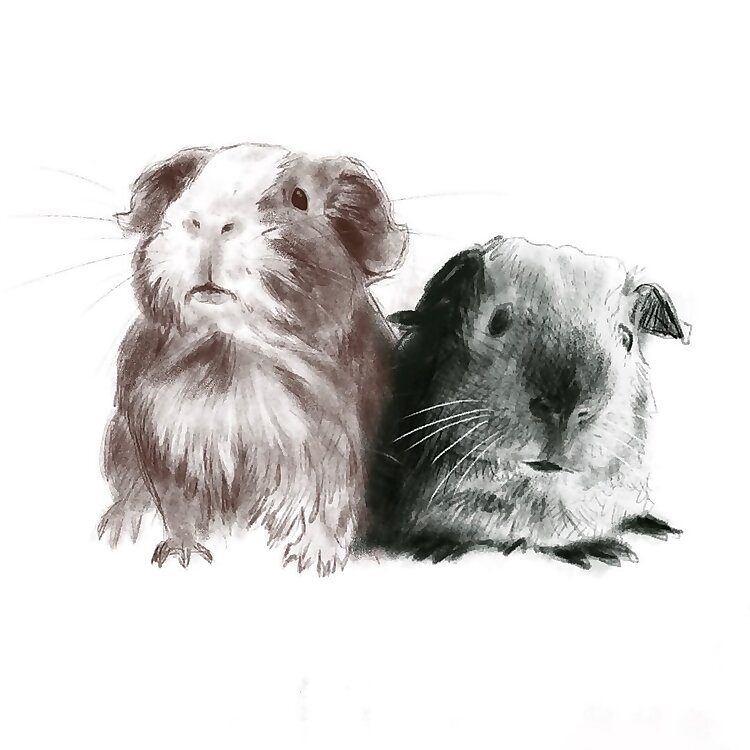 Chucha & Zyuzya