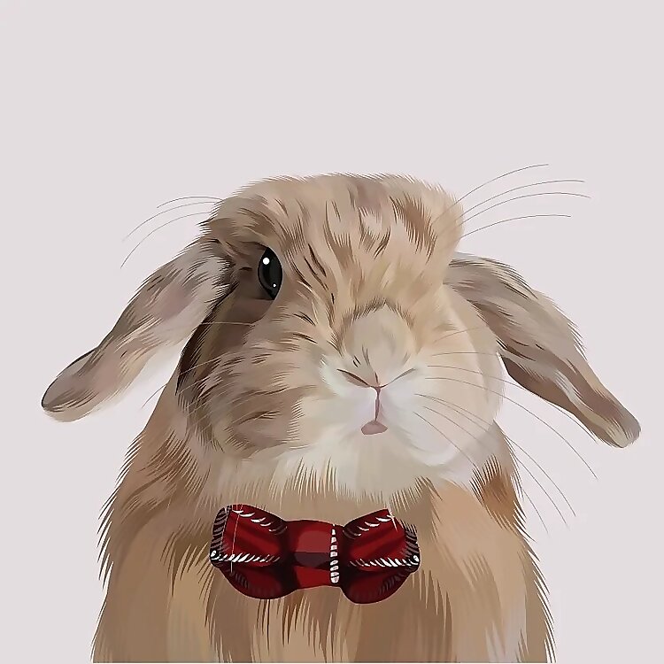 Bao