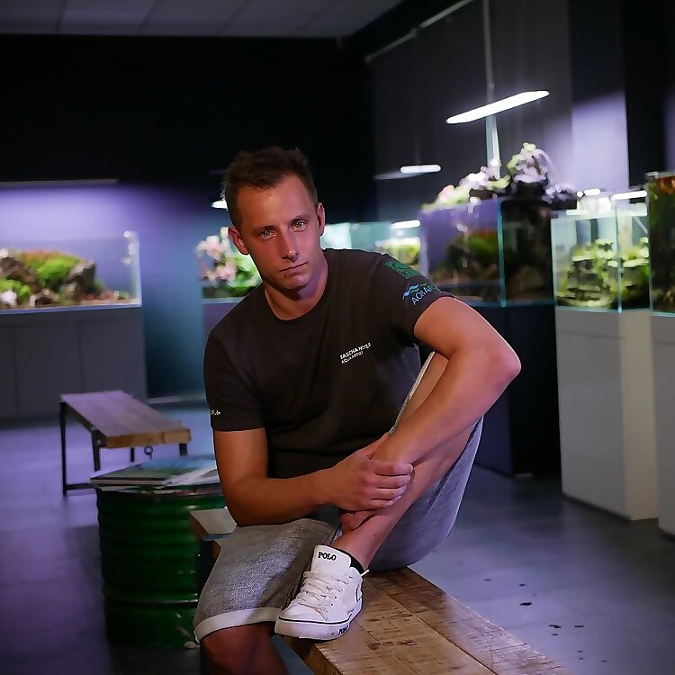 Sascha Hoyer
