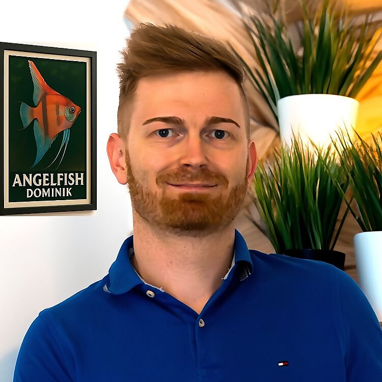 Dominik
