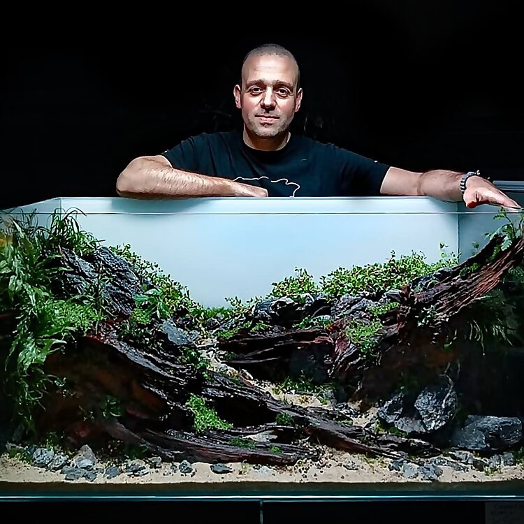 Luis Cardoso