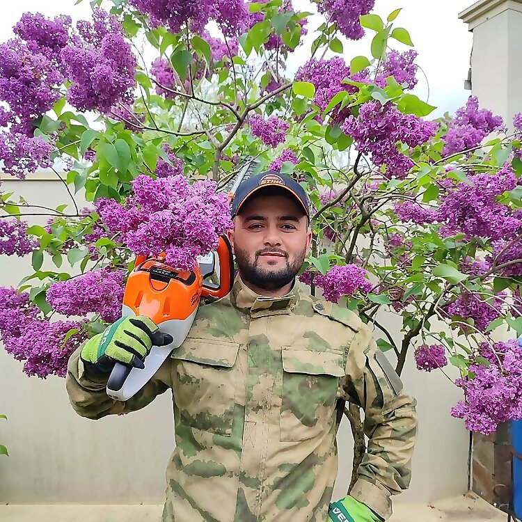 Amir