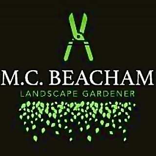 Mark Beacham