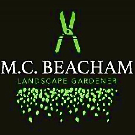 Mark Beacham