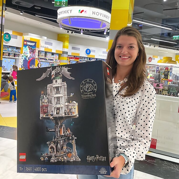 Legoholka