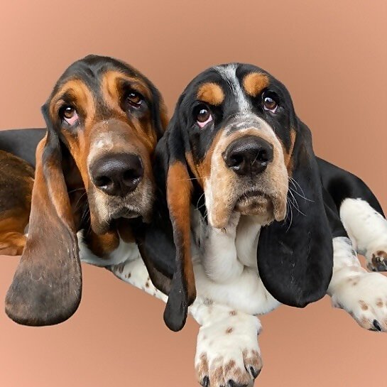 Walter & Wayne