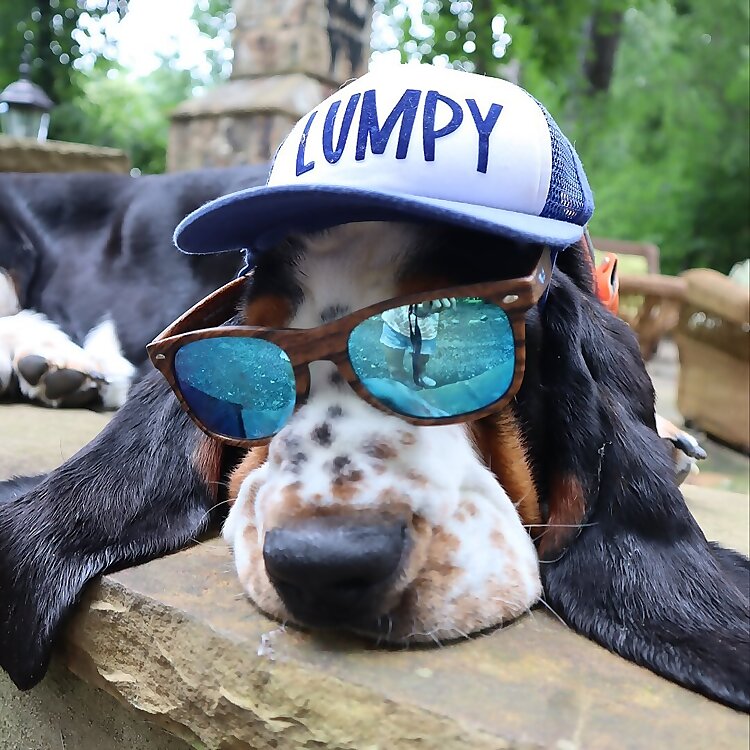 Lumpy