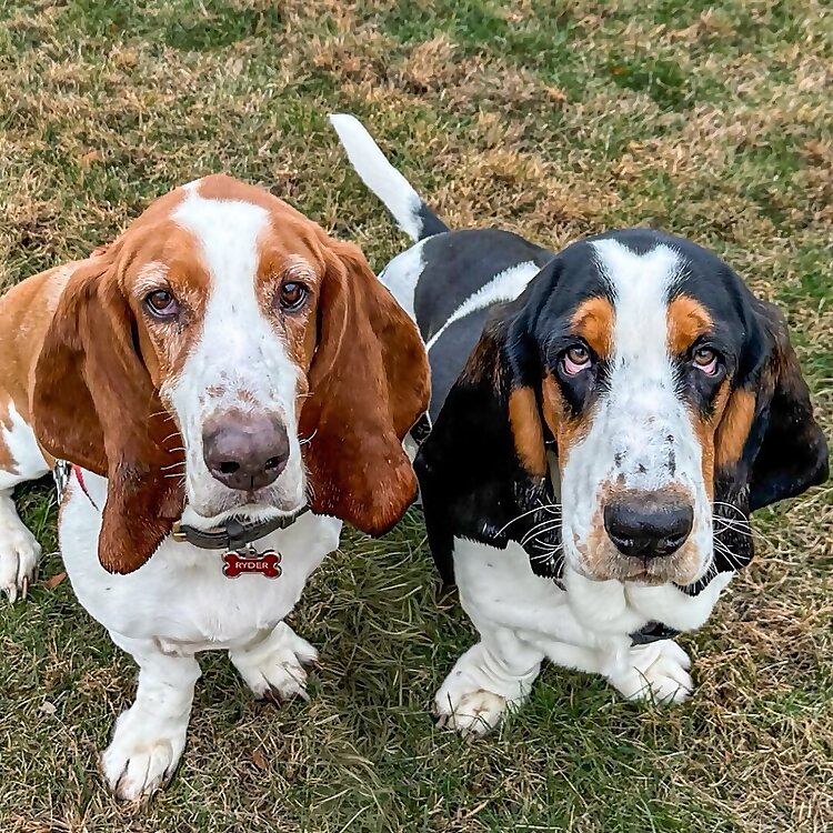Ryder & Ralphie