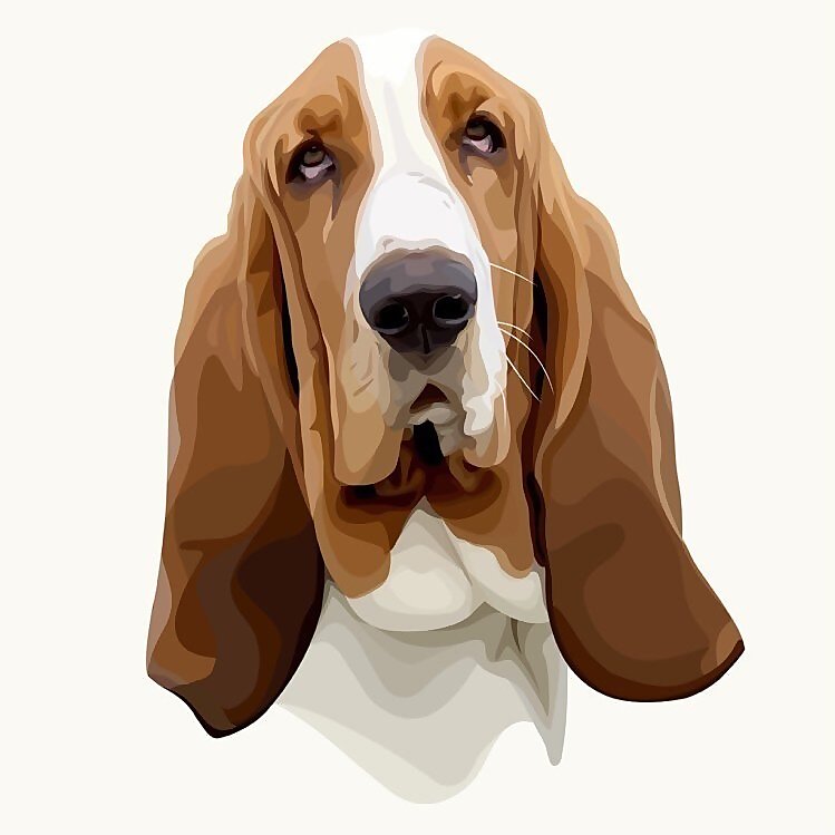Brutus